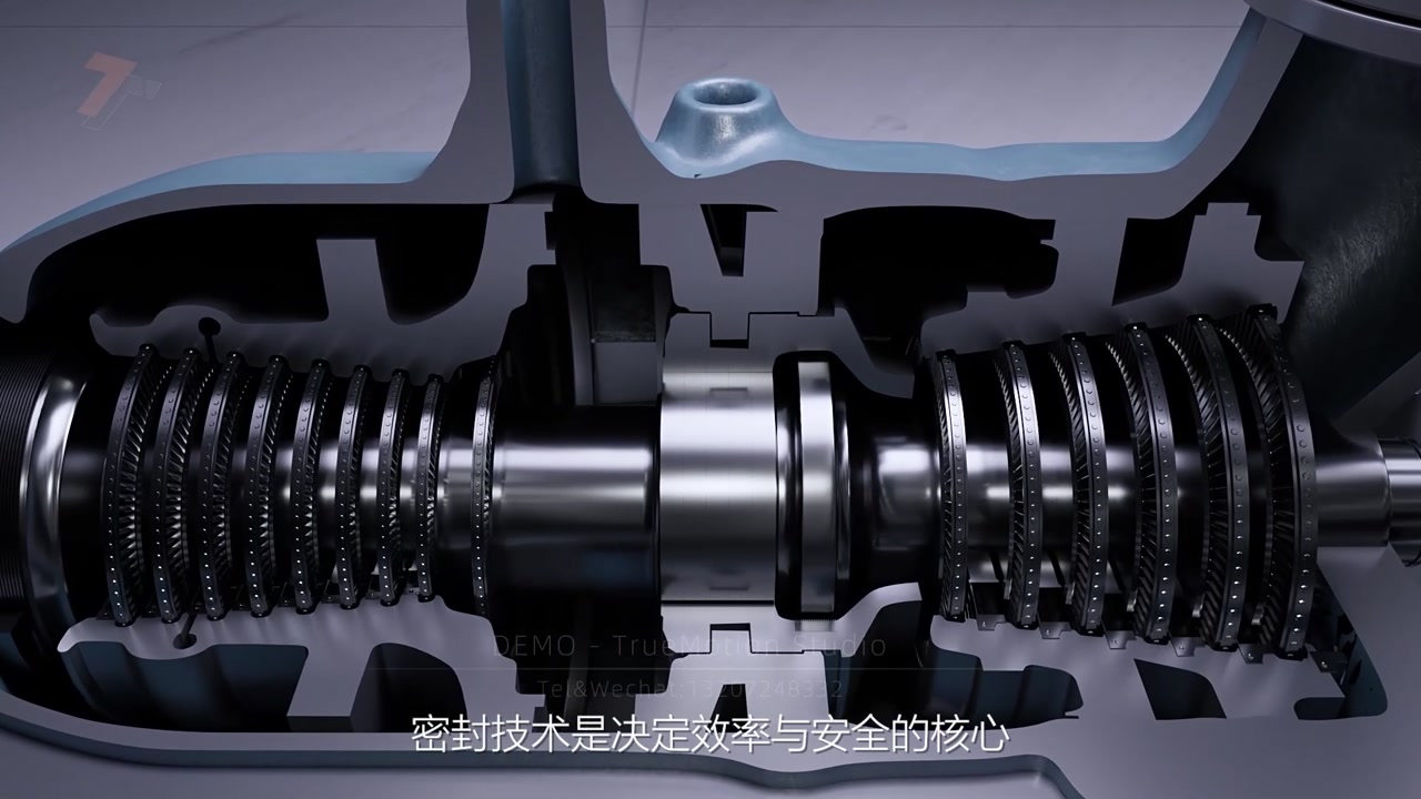 双齿扰流汽封视频画面