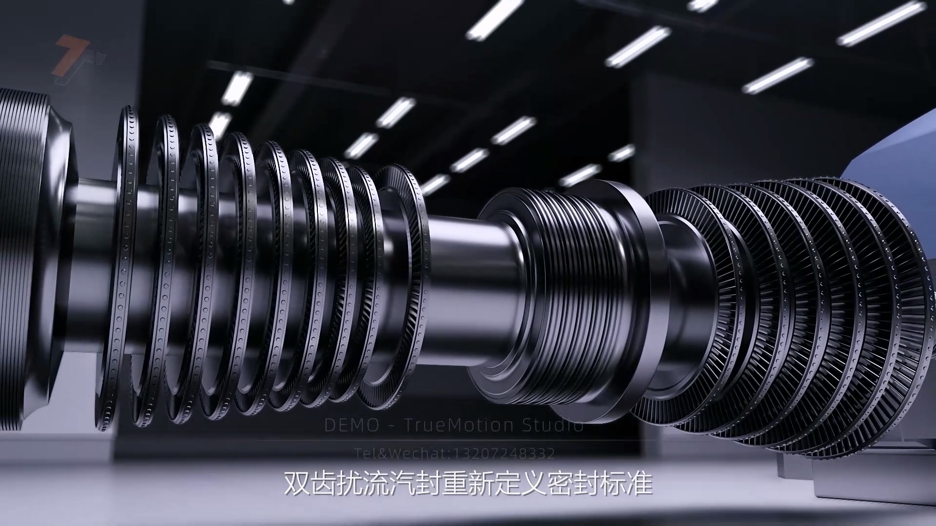 双齿扰流汽封项目预览